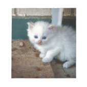 Bloc-note Kitten blanc (Devant)