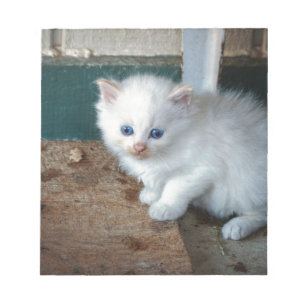Bloc-note Kitten blanc