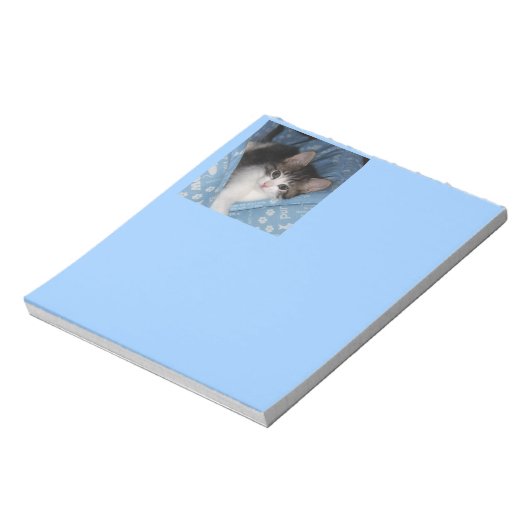 Bloc-note Kitty sur bleu (Tourné)