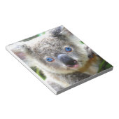 Bloc-note Koala Bears (Incliné)