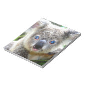 Bloc-note Koala Bears (Tourné)