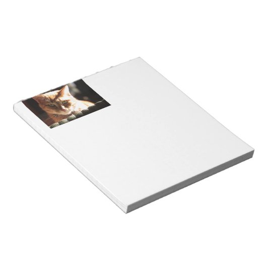 Bloc-note Kute Kitty ! (Incliné)