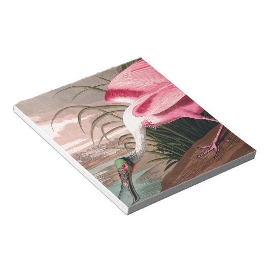 Bloc-note La faune des oiseaux d'Audubon de Spoonbill Roseat (Incliné)