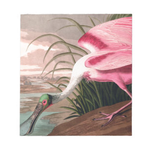 Bloc-note La faune des oiseaux d'Audubon de Spoonbill Roseat