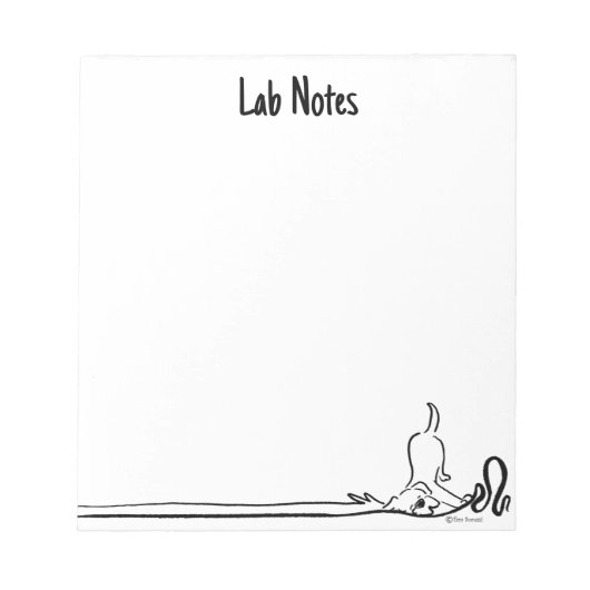 Bloc-note Lab Notes Whimsical Custom Black and White Notepad (Devant)