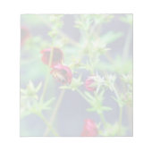Bloc-note L'Abeille à la Fleur Rouge (Devant)