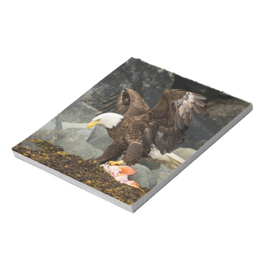 Bloc-note L'aigle chauve ultime (Tourné)