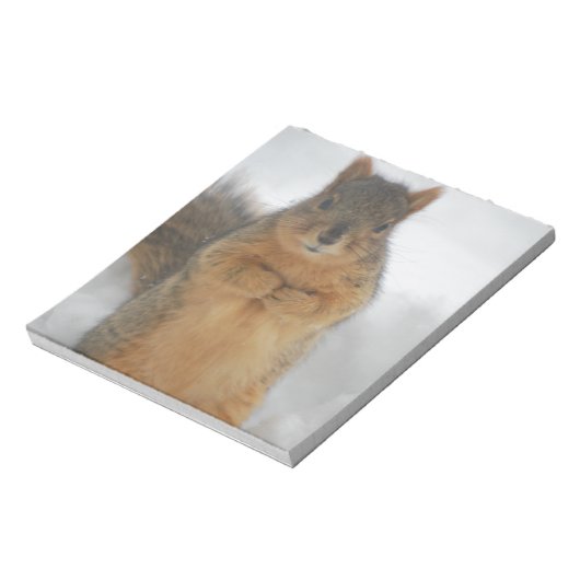 Bloc-note L'amour des écureuils (Tourné)