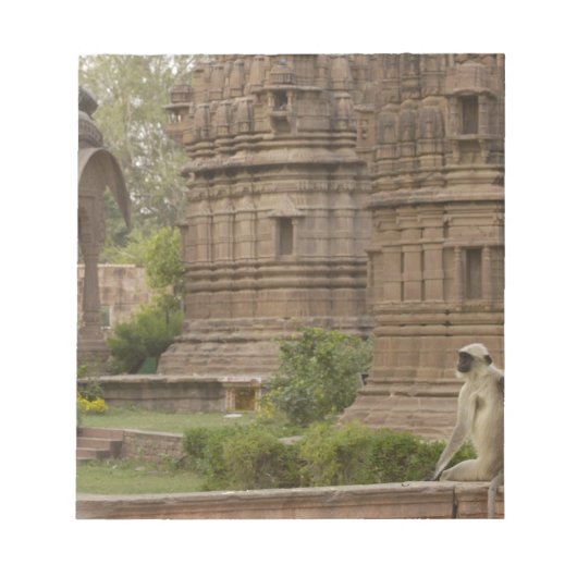 Bloc-note Langurs d'Hanuman ou langur commun (Devant)