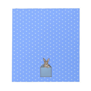 Bloc-note lapin bleu dans la boîte
