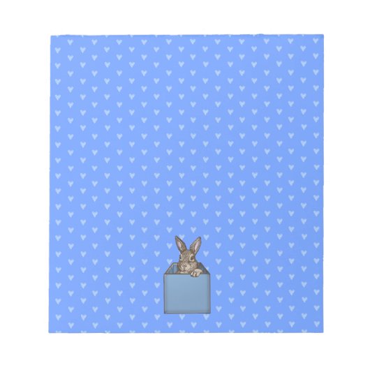 Bloc-note lapin bleu dans la boîte (Devant)