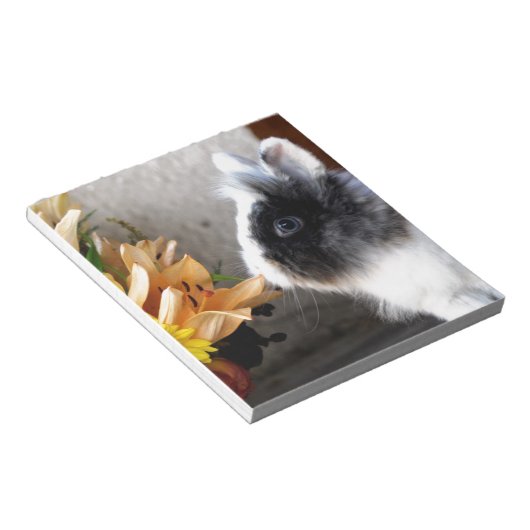 Bloc-note Lapin nain noir et blanc (Incliné)