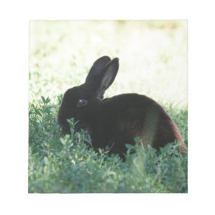 Bloc-note Lapin noir de Lil