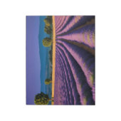 Bloc-note Lavande Nature Extérieur Paysage Calme Tranquille (Tourné)