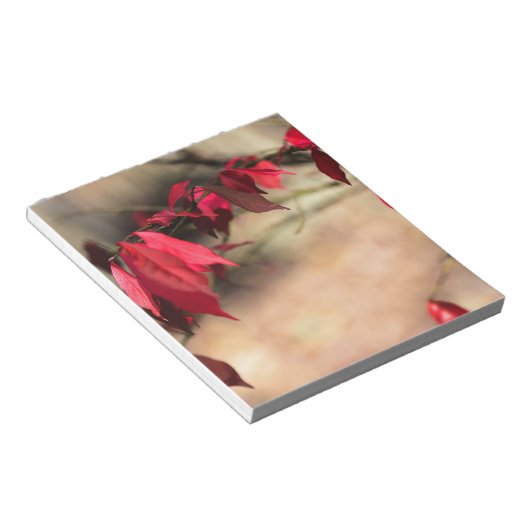 Bloc-note Le feuillage d'automne de Burning Bush - Euonymus  (Incliné)