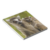 Bloc-note Lémurs à queue annelée (Lemur catta) Mère et bébé. (Incliné)
