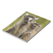 Bloc-note Lémurs à queue annelée (Lemur catta) Mère et bébé. (Tourné)