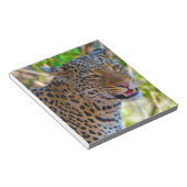 Bloc-note Leopard tacheté (Incliné)