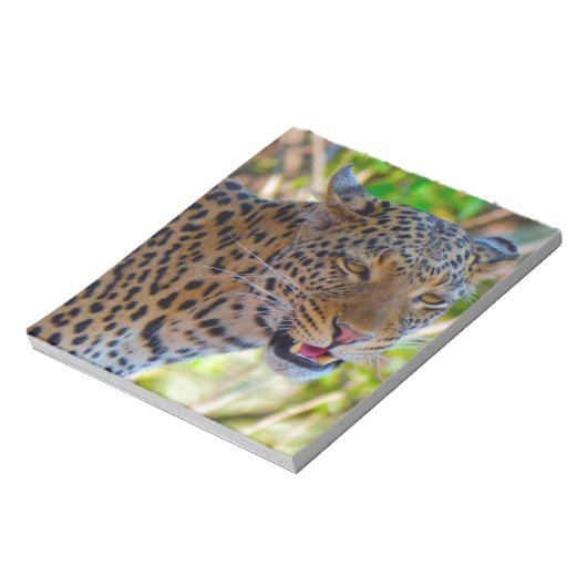 Bloc-note Leopard tacheté (Tourné)