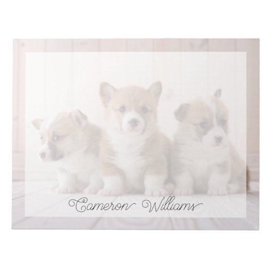 Bloc-note Les bébés animaux les plus mignons | 3 bébés Corgi (Devant)