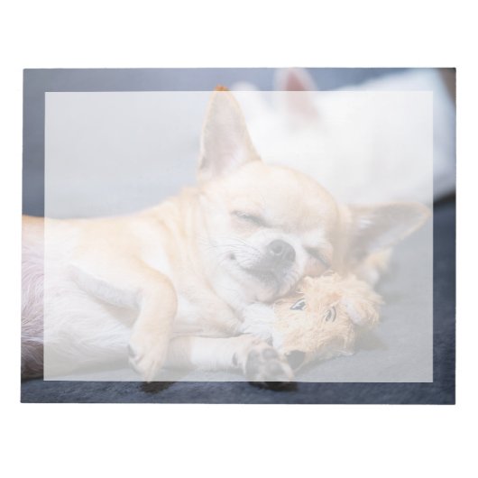 Bloc-note Les bébés animaux les plus mignons | Chien Chihuah (Devant)