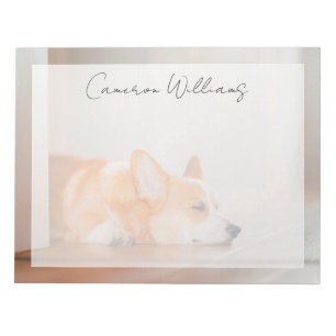 Bloc-note Les bébés animaux les plus mignons Corgi endormi