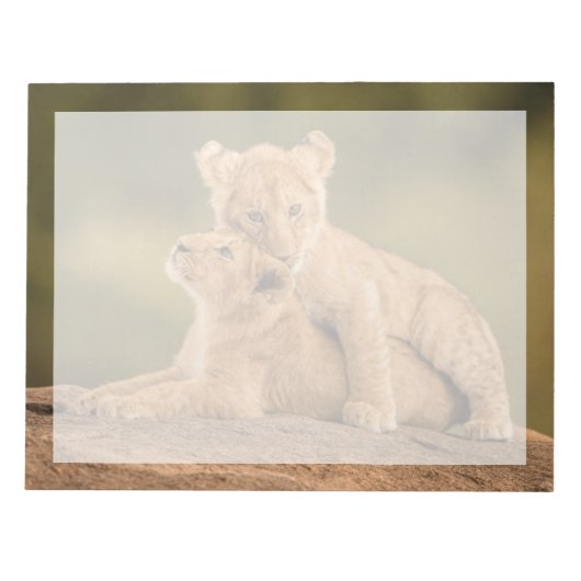 Bloc-note Les bébés animaux les plus mignons | Deux lionceau (Devant)