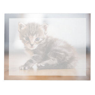 Bloc-note Les bébés animaux les plus mignons Petit chaton