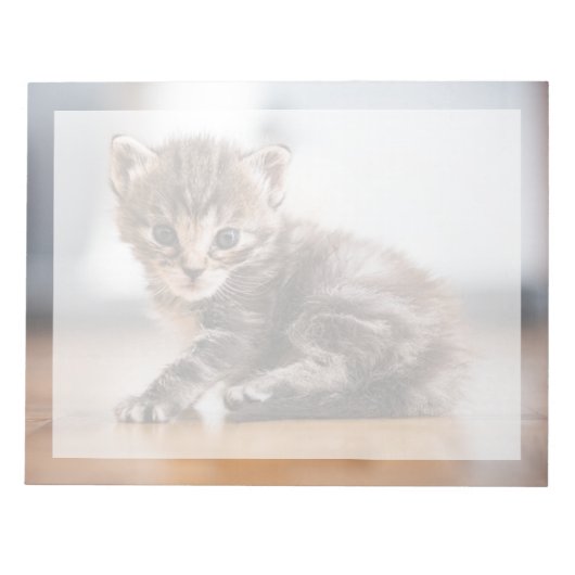 Bloc-note Les bébés animaux les plus mignons | Petit chaton (Devant)