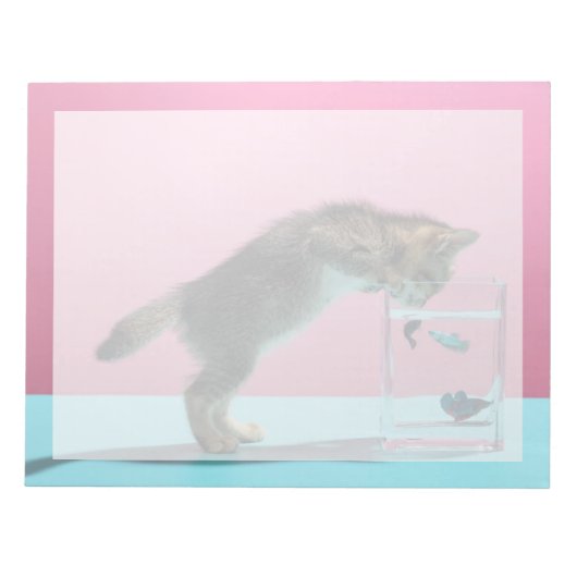 Bloc-note Les bébés animaux les plus mignons | Un chaton reg (Devant)