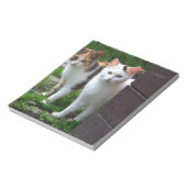 Bloc-note Les chats jouent (Tourné)