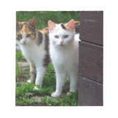 Bloc-note Les chats jouent (Devant)