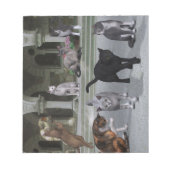 Bloc-note Les chats sur les marches du Palais (Devant)