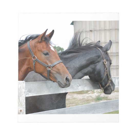 Bloc-note Les Chevaux d'Amour (Devant)