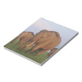 Bloc-note Les éléphants indiens dans les Prairies (Tourné)