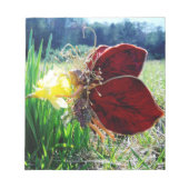 Bloc-note Les fées dans les jonquilles (Devant)