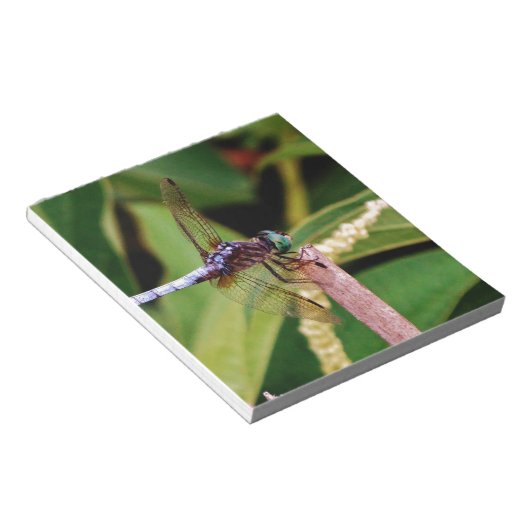 Bloc-note libellule avec fleurs blanches (Incliné)