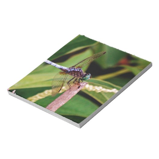 Bloc-note libellule avec fleurs blanches (Tourné)