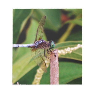 Bloc-note libellule avec fleurs blanches