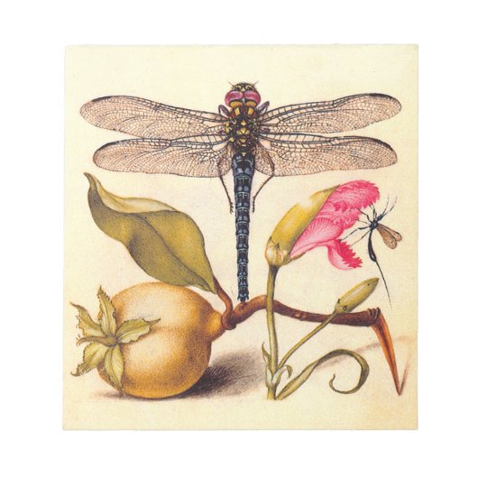 Bloc-note Libellule Botanique Nature Faune Hoefnagel Art (Devant)