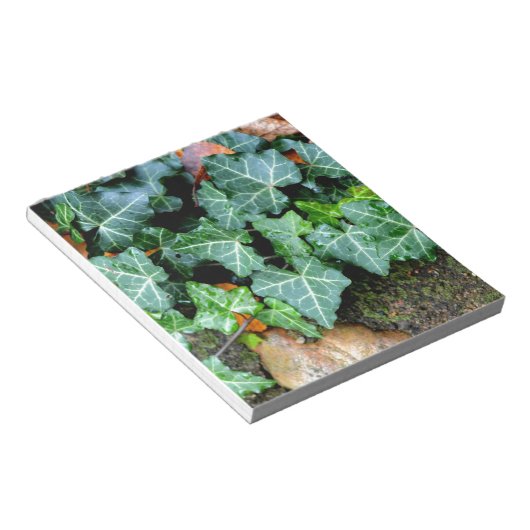 Bloc-note Lierre et pierre de champ (Incliné)