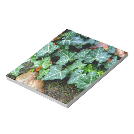 Bloc-note Lierre et pierre de champ (Tourné)