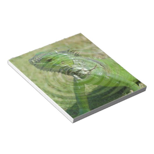 Bloc-note L'Iguana verte (Incliné)