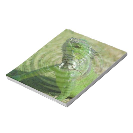 Bloc-note L'Iguana verte (Tourné)