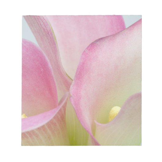 Bloc-note Lilies d'arum roses (Devant)