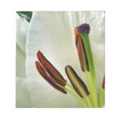 Bloc-note Lilium Oriental Blanc (Devant)