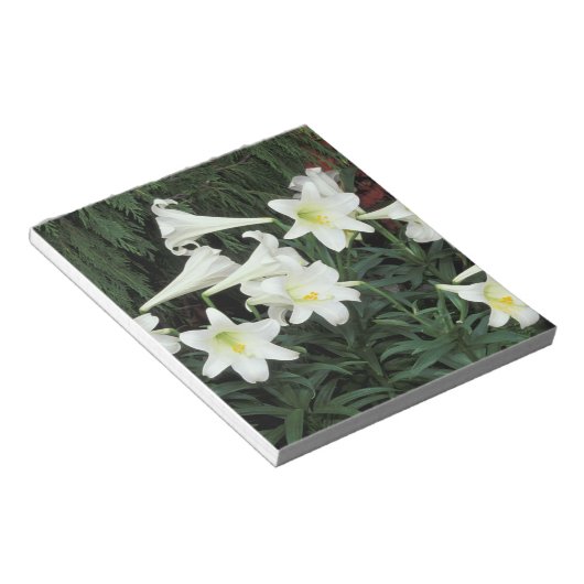 Bloc-note Lily de Pâques (Lilium regale) (Incliné)