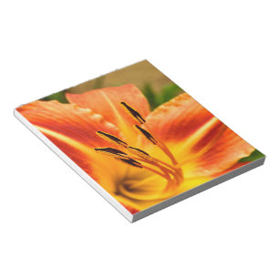 Bloc-note Lily de tigre orange