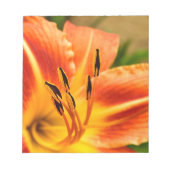 Bloc-note Lily de tigre orange (Devant)