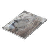 Bloc-note Lion blanc sud-africain proche (Tourné)